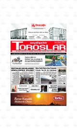 SEYDİŞEHİR TOROSLAR