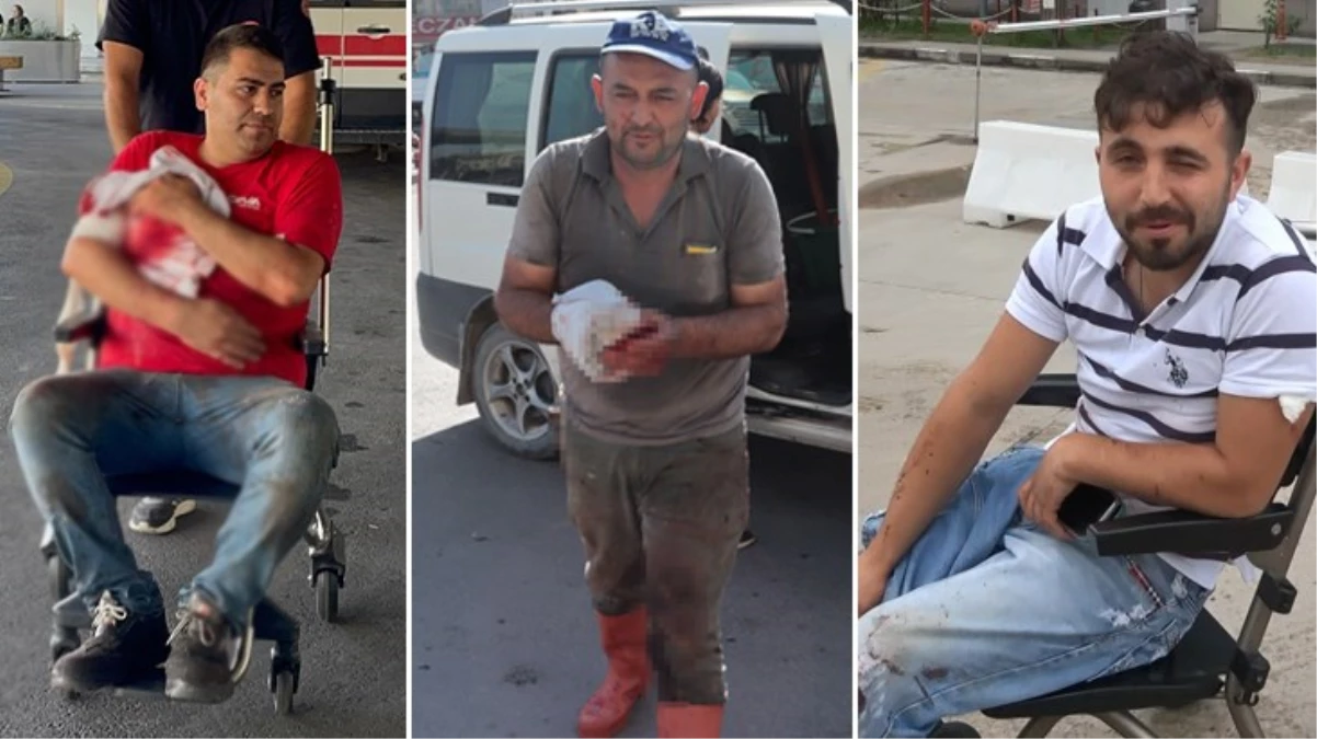 Memleketten kurban manzaraları! Acemi kasaplar her yıl olduğu gibi bu bayram da acilleri doldurdu