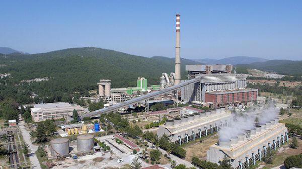 YK Enerji’den Akbelen açıklaması: Kesime tabi, endüstriyel bir orman