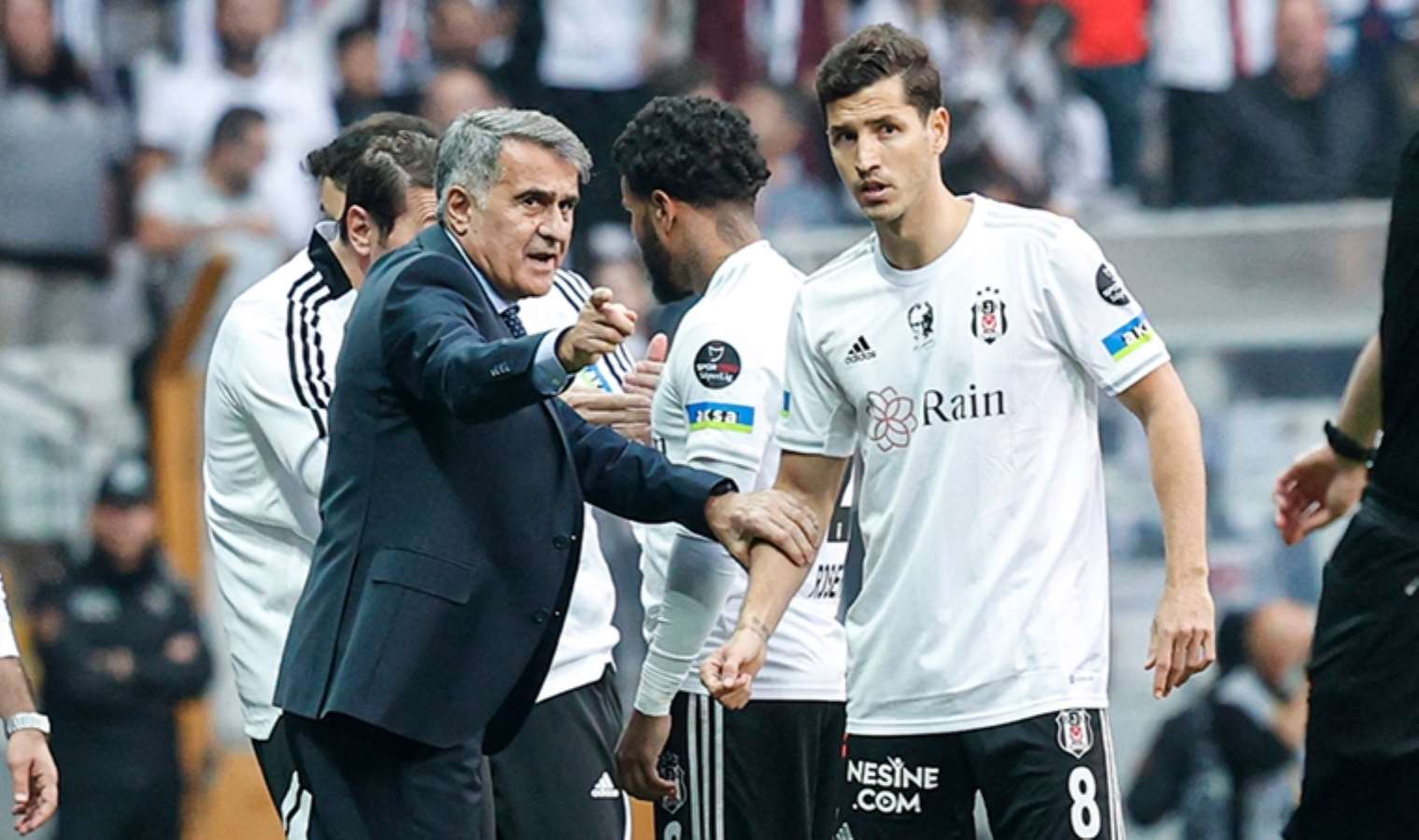 Ahmet Nur Çebi'den Şenol Güneş ve Salih Uçan yanıtı!