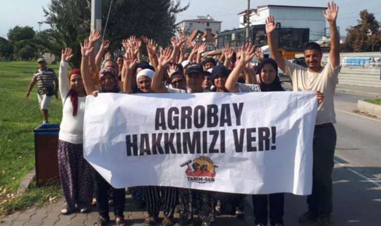 Direniş sürerken Agrobay Yönetim Kurulu üyesinden bir garip açıklama: ‘İşçi zaten bu ülkede 1-0 önde başlıyor’