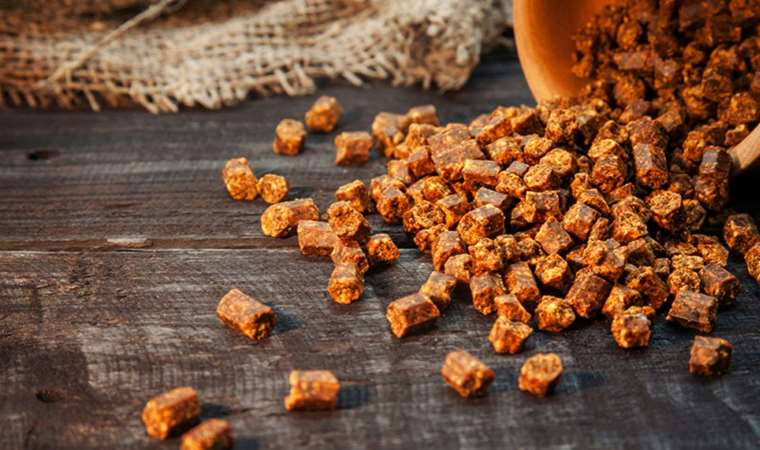 Sporcuların gizli silahı: Kas gücünü artırıyor ve enerji veriyor… Günlük 6 tane yeterli