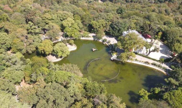 İBB itiraz etti Yıldız Parkı yapılaşmadan kurtuldu!