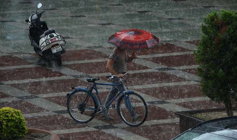 Nazilli’de kuvvetli rüzgar ve sağanak; ağaçlar devrildi, yollarda su birikintileri oluştu