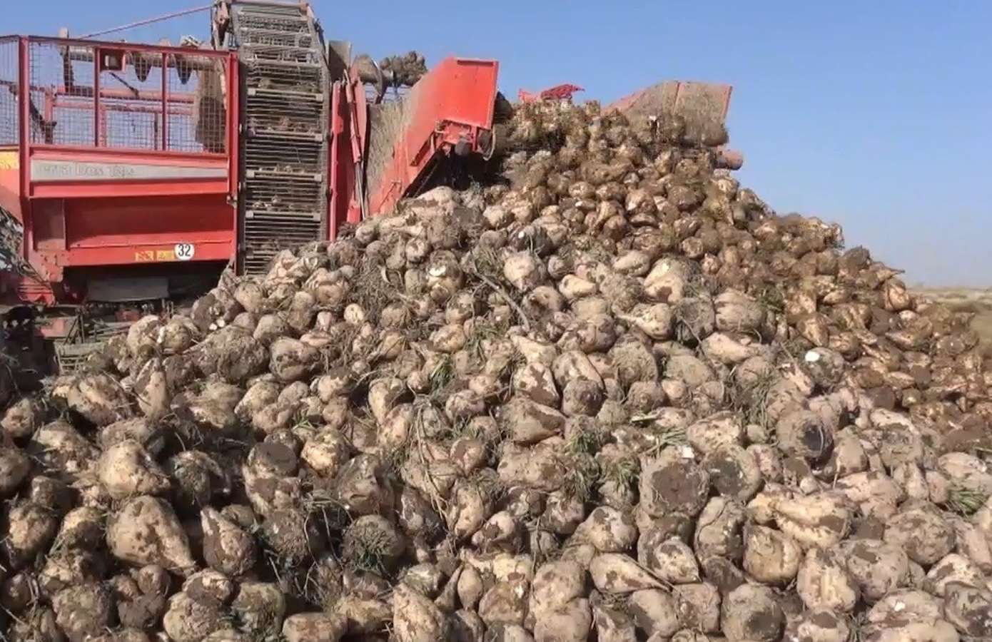 Şeker pancarı cennetinde hasat devam ediyor: 7 milyon ton beklenti