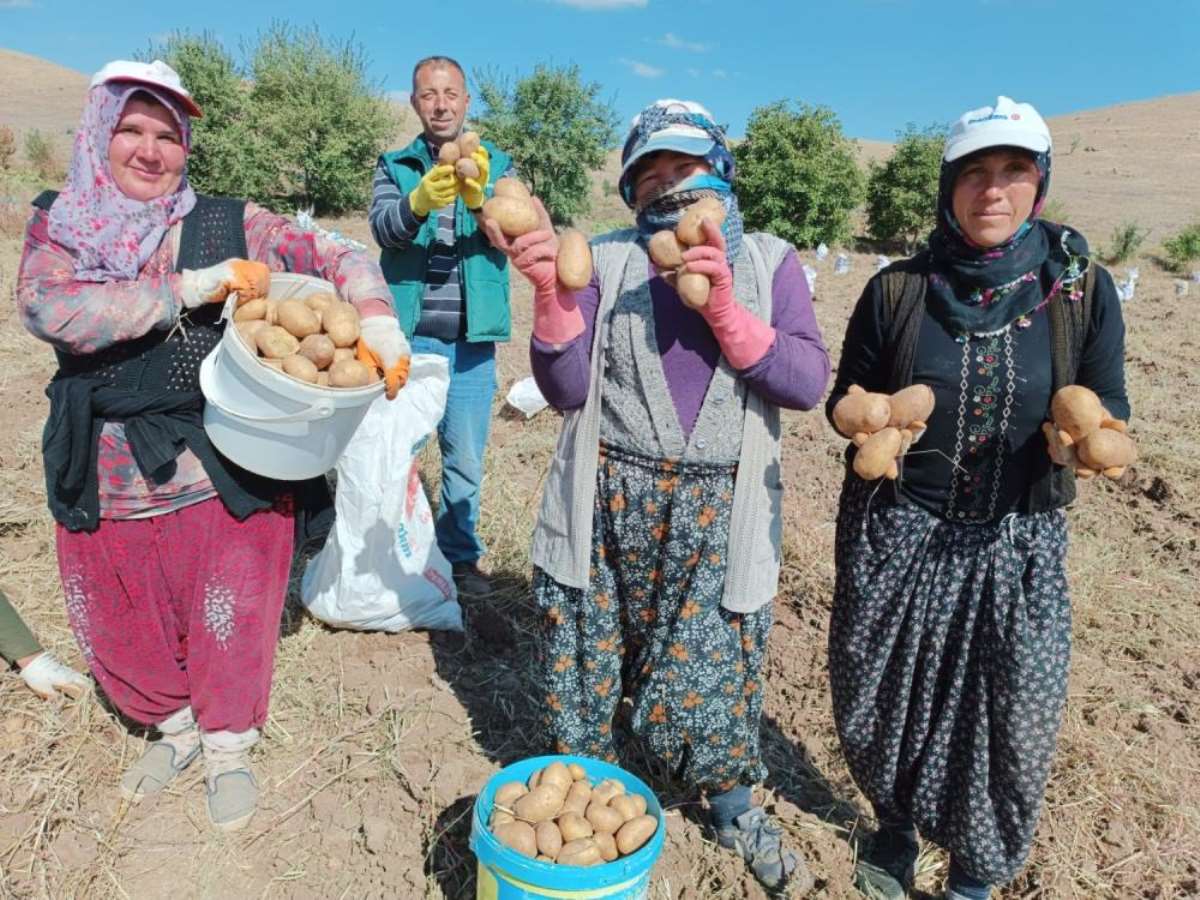 Lezzetinin sırrı fazla güneş almasında: Kilosu 13 TL