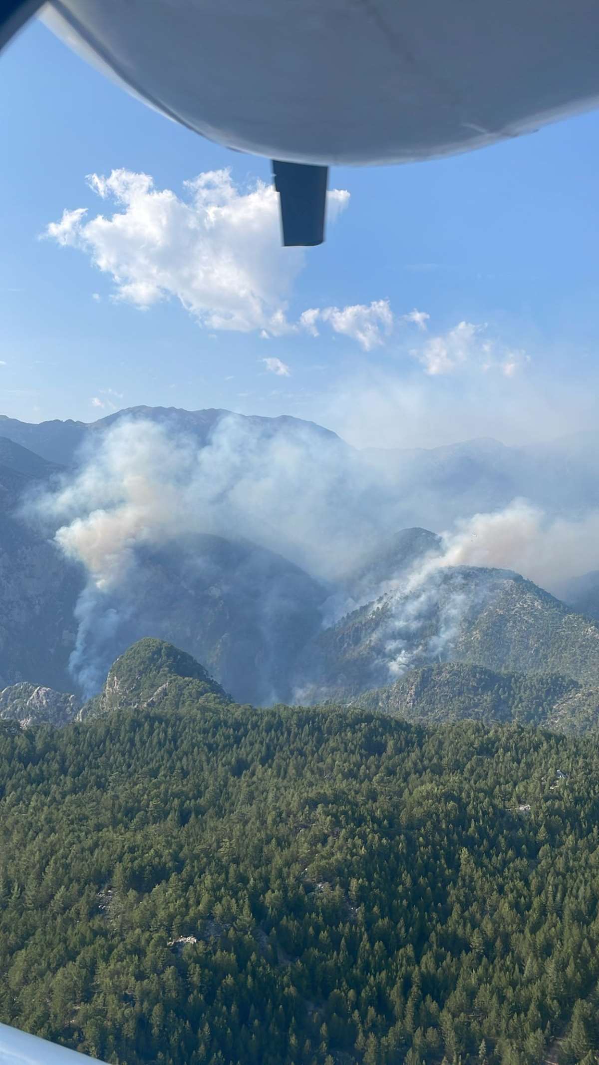 Burdur'da orman yangını!