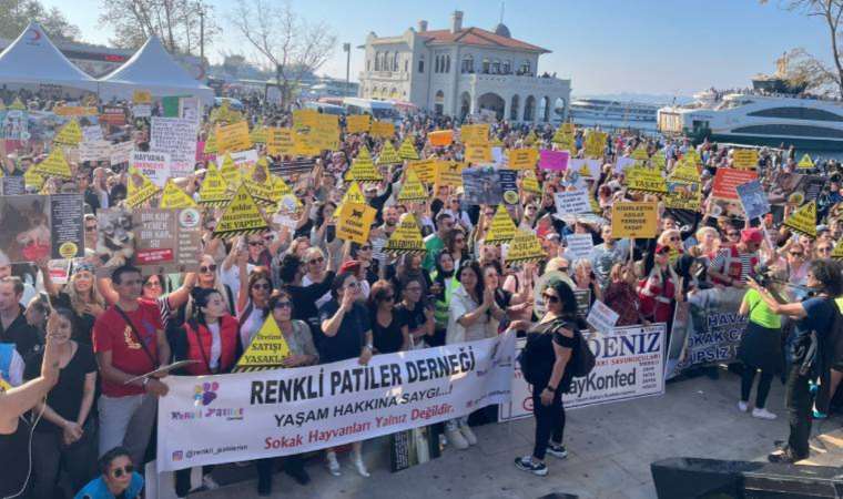 ‘Öldürme, kısırlaştır, yaşat’ dediler