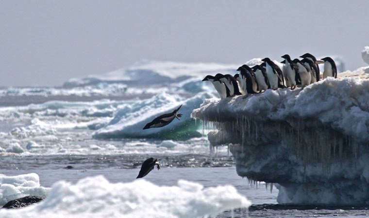 Buzullar erirse ne olur?
