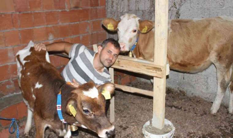 Danalarına liderlerin isimlerini verdi: ‘İşgalci olana Netanyahu dedim’