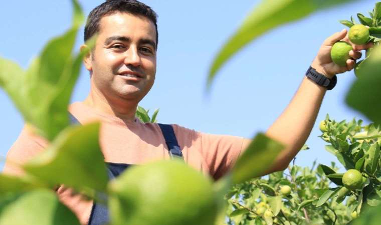 Yeşili 40 TL, diğerleri 3 TL