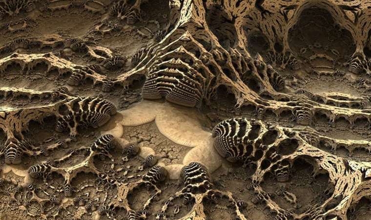 Güney Afrika’da bir ilk: İlk kez bu hayvanın fosili görüldü