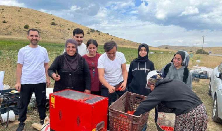 Ünlü oyuncu Ersin Korkut domates toplayıp salça yaptı