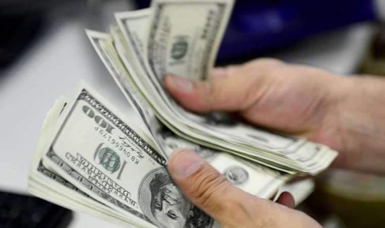 Reel efektif döviz kuru endeksi yükseldi