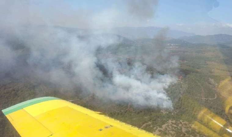 İzmir’de orman yangını çıktı
