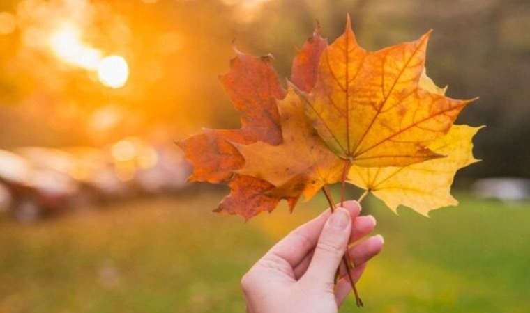 Ekim ayında mutlaka yapılması gereken şeyler neler?