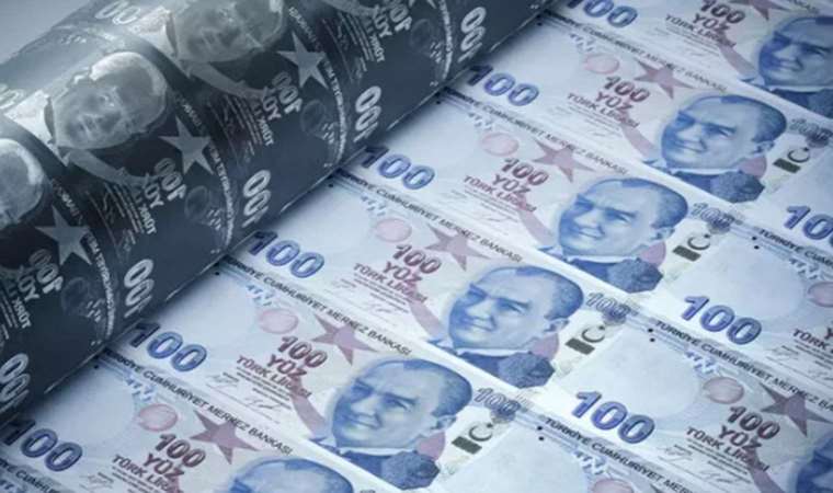 Banknot (Banknote) nedir?
