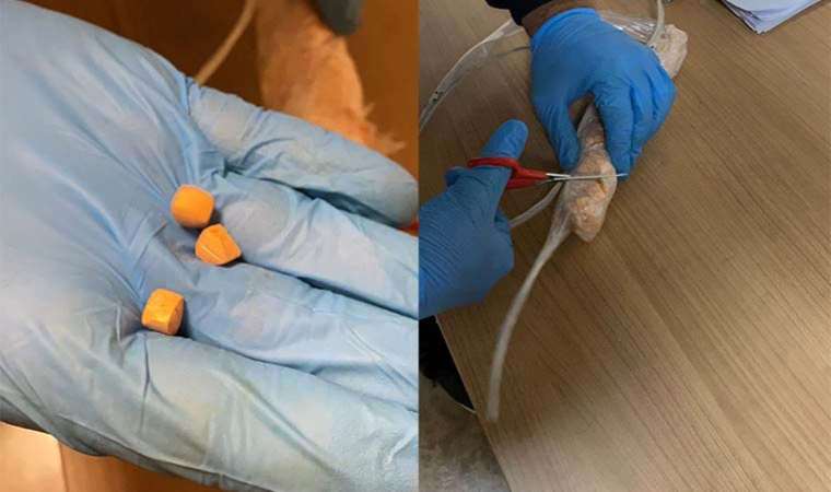 Havalimanında yakalandı… İç çamaşırlarından 300 bin TL’lik uyuşturucu çıktı!