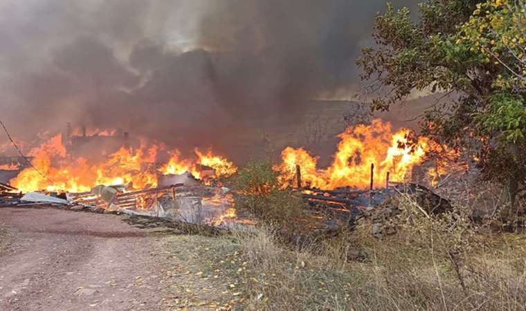 Kastamonu’da köyde yangın: 40 ev ve ahır alevlere teslim oldu
