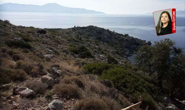 Bozburun’da kıyıma yol açacak projenin duruşması görüldü: Geri döndürülemez bir yıkım olabilir