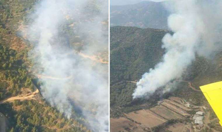 İzmir’de orman yangını… Ekipler müdahale ediyor