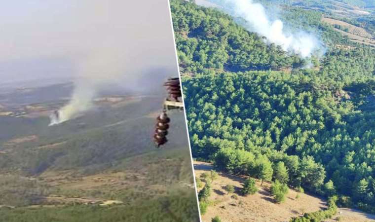 Çanakkale’deki orman yangını kontrol altına alındı: 6 dönüm zarar gördü