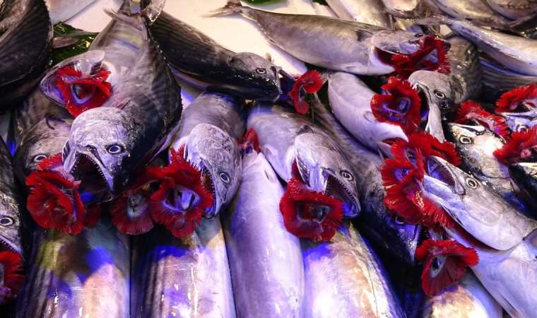 Şimdi tam mevsimi! Omega zengini ve kalsiyum deposu, kolesterol ve hipertansiyonun düşmanı