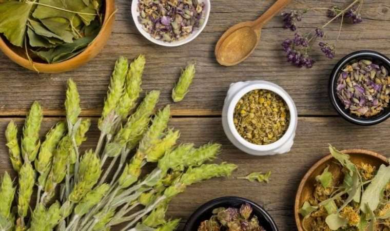 Doğal bir ağrı kesici: Çayı her derde deva! Stres, ağrı ve uyku sorunlarına karşı eski bir çare…