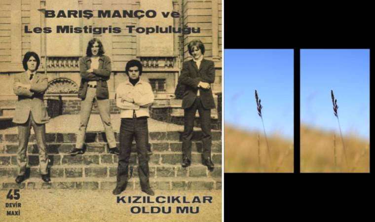 Vitrindeki albümler