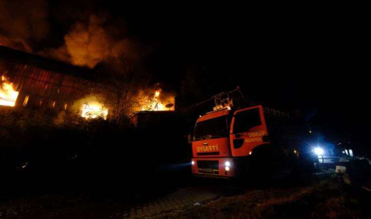 Kırklareli’nde ağaç işleme fabrikasında yangın!