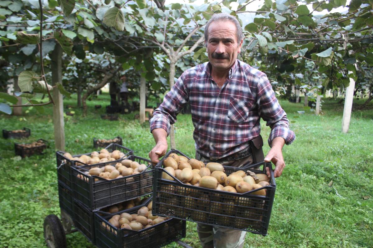 Hobi için başlamışlardı: Yıllık getirisi 100 milyon TL