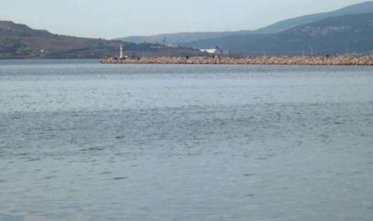 Uzmanından korkutan ‘Marmara’ uyarısı: ‘Besin zinciri etkilenebilir’