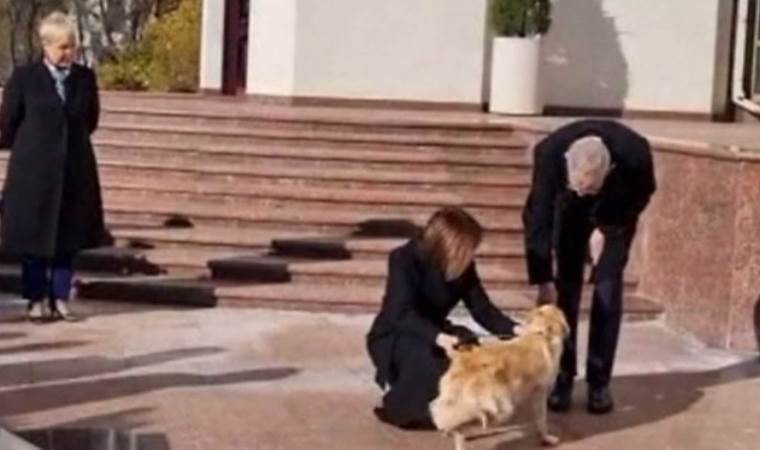 Devlet Başkanı’nın elini köpek ısırdı: Protokol alt üst oldu