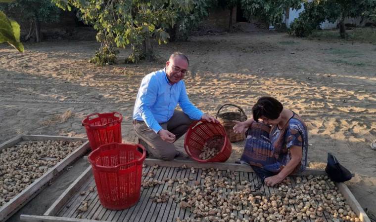 CHP’li Karakoz’dan Bakan Yumaklı’ya ‘kuru incir’ sorusu