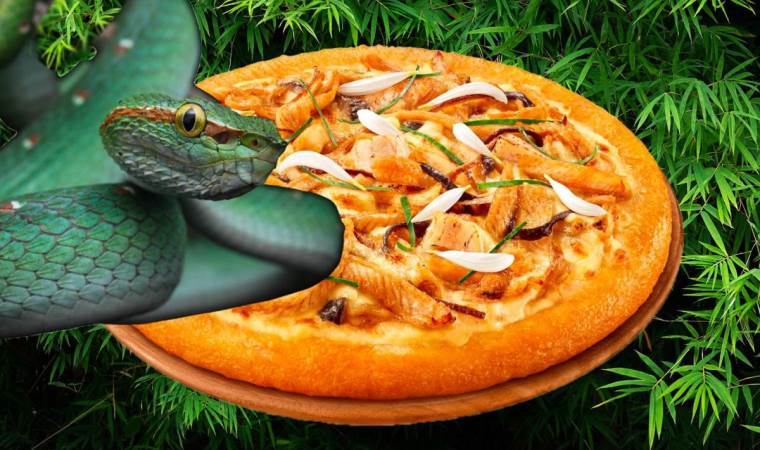 Ünlü fast-food zinciri, yılan etli pizza satmaya başlıyor