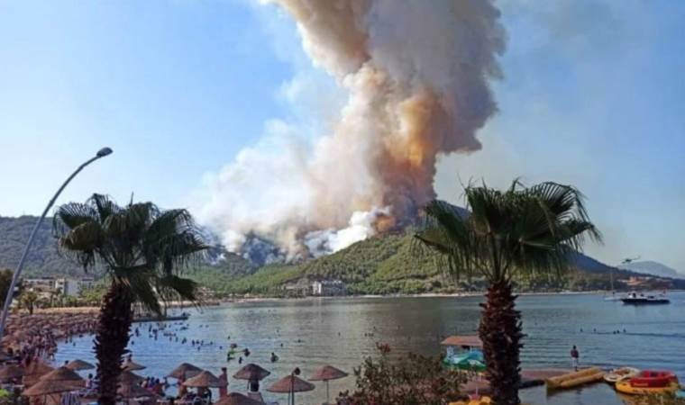 Aydın ve Muğla’da 11 ayda 819 hektar alan yandı