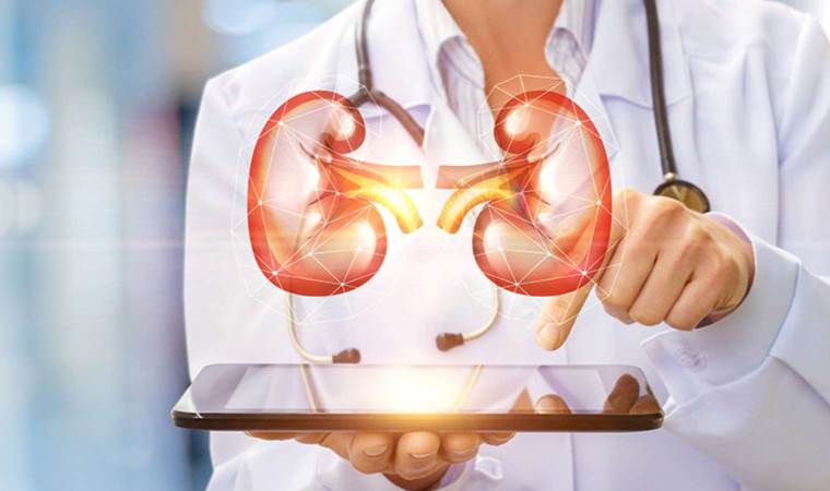 Uzmanı uyardı: Böbrek taşı tedavi edilmezse böbrek yetmezliğine sebep olabilir