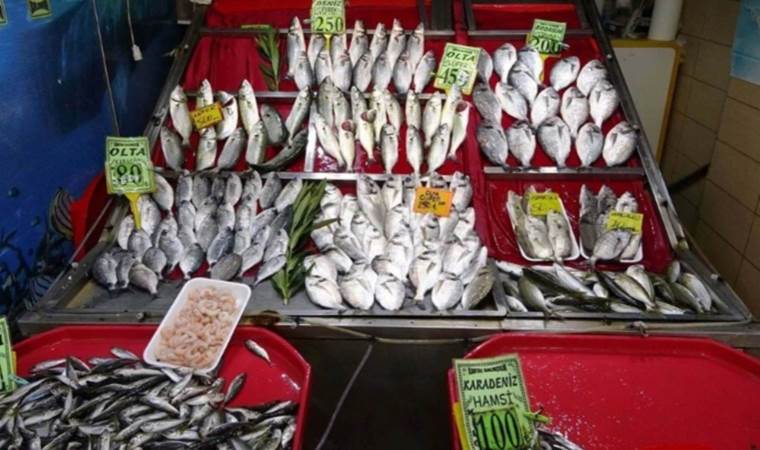 ‘Denizlerin prensi’ palamudun seyrek olmasına neden oldu!