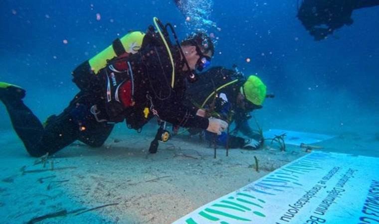 Bu kez tarlaya değil kuma ekim yapıldı: 10 bin ‘deniz eriştesi’  suya kavuştu