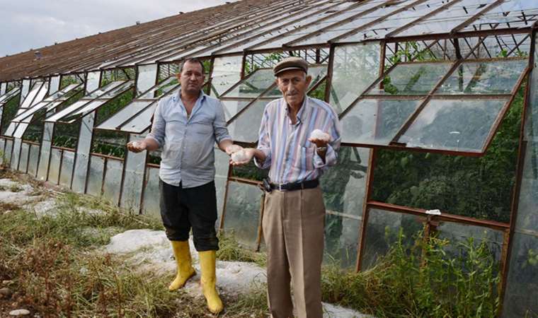 Serik’te ‘dolu’ seraları vurdu: Ürünlere zarar verdi