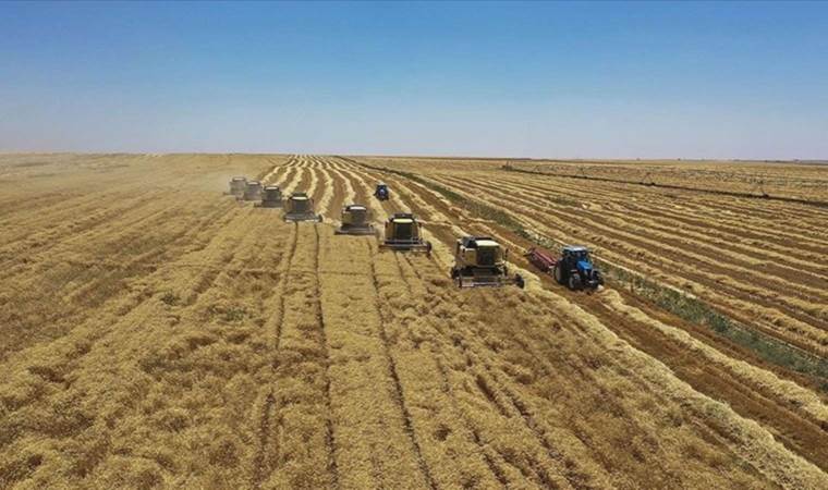 Resmi Gazete’de yayımlandı! Tarımsal destek ödemeleri arttırıldı