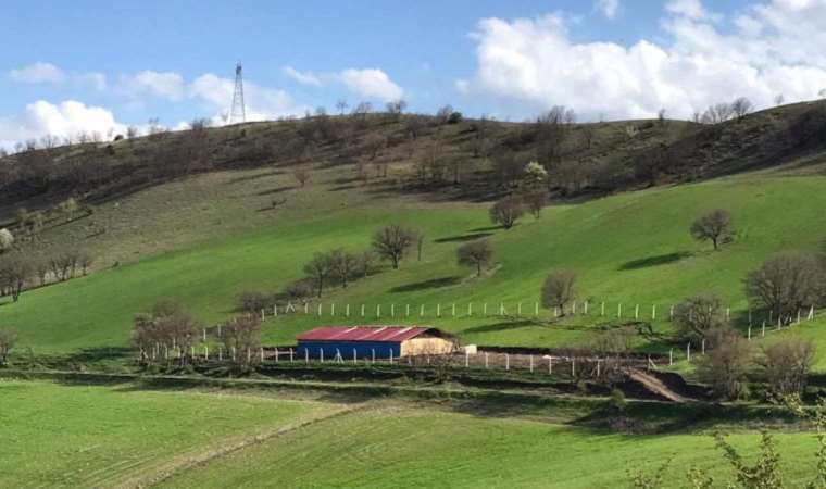 Hayat pahalılığı nedeniyle kentlerden köylerine dönenler anlatıyor: ‘Hayatımın en doğru kararıydı’