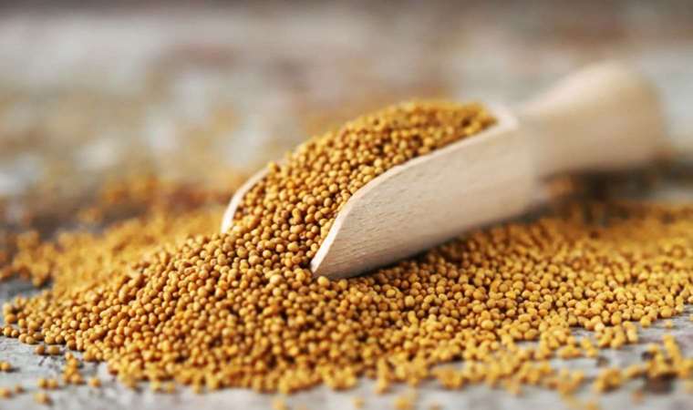 Yağlarınız cayır cayır yanacak! 1 tutamı yeterli