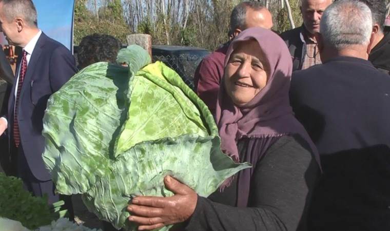 Eskişehir’de hasat başladı: Vitamin deposu, magnezyum zengini…