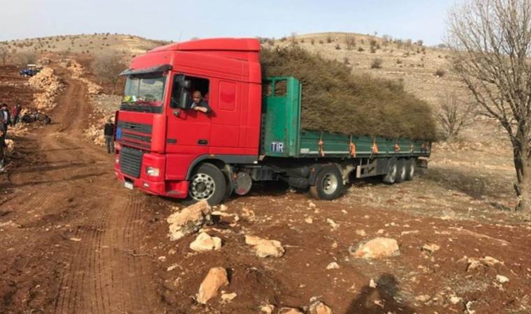 İstanbul’u terk etti, Mardin’de yapılmayanı yaptı! Başarmak 4 yılını aldı…