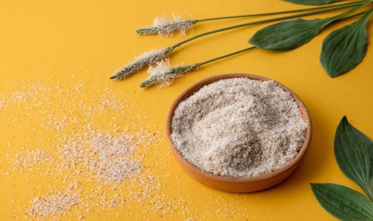 Bitki dünyasının şifalı elçisi: Karnıyarık otu! Tokluk hissi veriyor, bağışıklığı güçlendiriyor