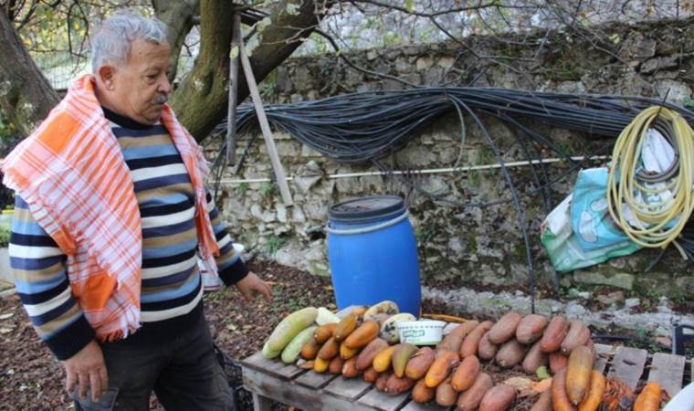 Ömrünü ata tohumuna atadı: Çengelköy salatalığının tohumu da Hollanda’dan geliyor”