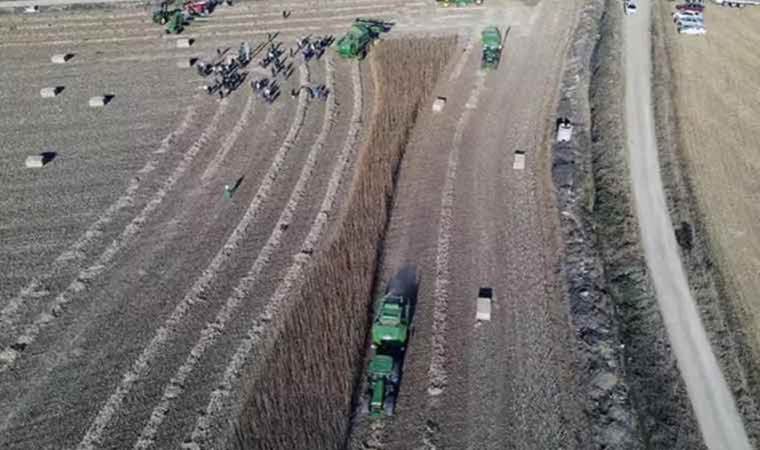 Türkiye’nin ilk tescilli kenevir tohumu hasat edildi