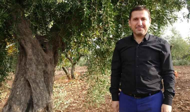 3 asırlık ağaçlar bu yıl da çiftçinin yüzünü güldürdü: Rekolte düşük verim yüksek