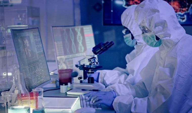 Domuz gribinin A(H1N2)v türü insanda ilk kez görüldü!